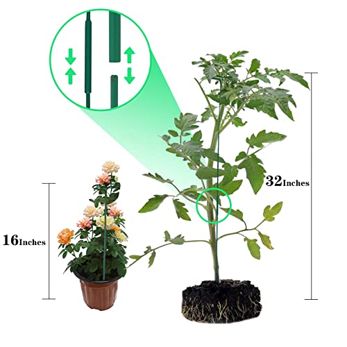 8 Pack Plant Stakes,Plant Support Stakes for Two Sizes(16 or 32 Inches) - size: 8