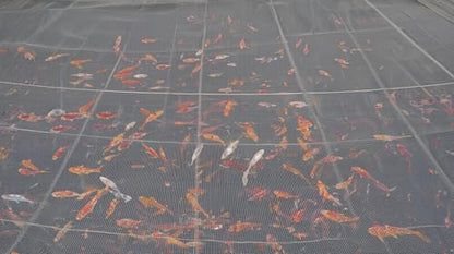 16x30ft/5x9m HDPE Anti Aging Orchard Garden Anti Hail Anti Bird Netting - size: 16 x 30 ft