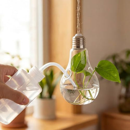 6pcs Hanging Propagation Stations, Glass Bulb Vases with Rope for Indoor