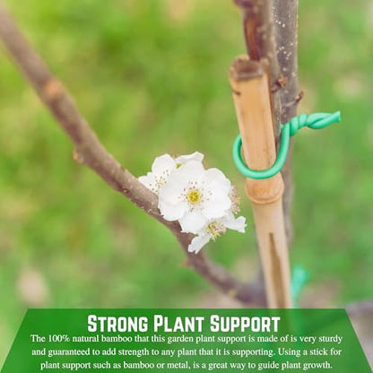 Farm Plastic Supply - Bamboo Garden Stakes - Bambo Sticks, Bamboo Plant Stakes for Outdoor Plants, Plant Support Stakes for Indoor Plants (7 Foot, 5) - style: 7 Foot