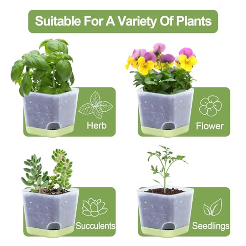 Oliz 20pk 3" Square Succulent Pots w/Drainage & Saucers - size: Mini Clear Pots 20 Pack