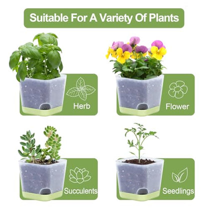 Oliz 20pk 3" Square Succulent Pots w/Drainage & Saucers - size: Mini Clear Pots 20 Pack