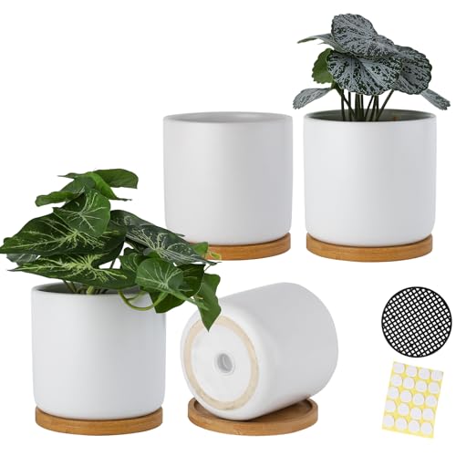 4 Inch Ceramic Plant Pots with Drainage Holes and Trays, Adorable Small Cylinder Flower Planter Pot with Saucers for Indoor Plants, Succulent, Snake Plants, Cactus & Herbs, White, Set of 4 - color: White