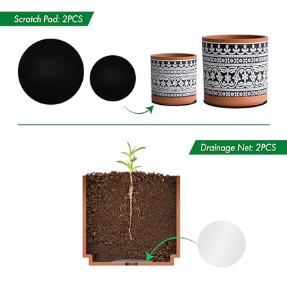 D'vine Dev 2-Pack Terracotta Pots, 4/6 in, Terra/Black, 31-958-F-2 - color: Terracotta/Black