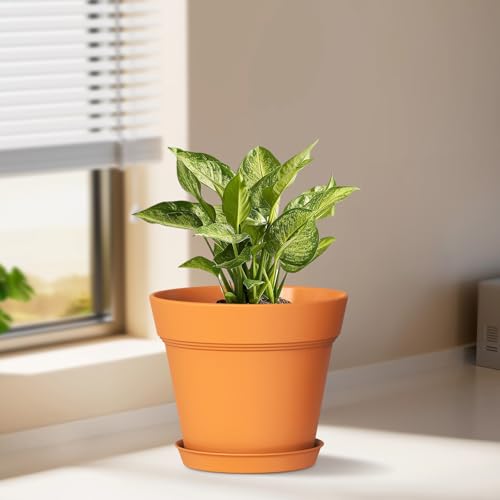 WSMKSZ 6 Inch Thick Plastic Plant Pots with Drainage Holes and Trays – 6 Pack Nursery Pots for Indoor & Outdoor House Plants, Seedling Starter Planters for Garden Flowers, Terracotta - color: Terracotta, size: 6in 6pcs