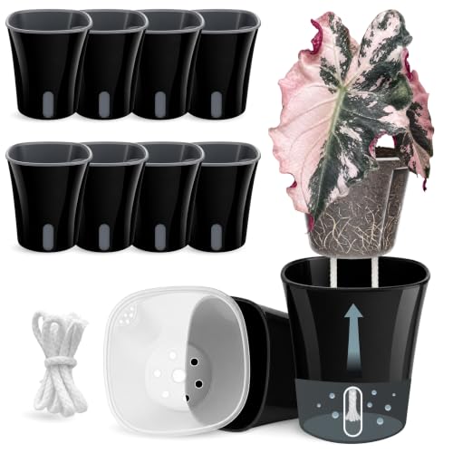 8 Pack 4" Self Watering Pots for Indoor Plants, Clear Inner Cup, Small Black Plastic Planters, Water Level Indicator, Drainage Holes, Extra 3ft Wick, Cuttings,Seedlings,Herb,African Violets - color: Classic Black, size: 4" (8 Pack)