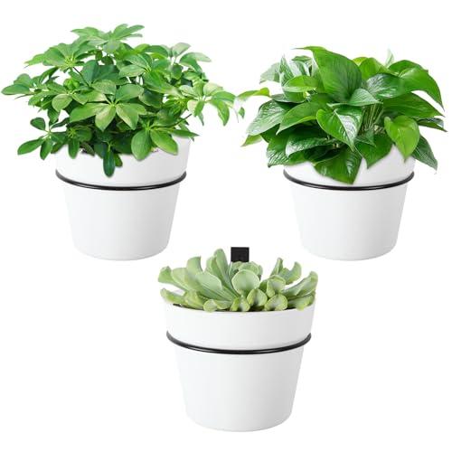 3 Set Hanging Planters Self Watering Plant Hangers for Indoor Outdoor Plants 6.3 Inch Wall Amount Flower Pots Basket with Drainage Hole DIY Room Patio Yard Decor(White) - color: White