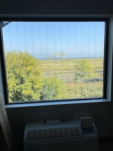 COLLIDESCAPE Spiderweb Clear BirdTape for Windows (3/4" x 20' - Covers 1 to 2 panes) | Bird Tape Decals to Prevent Bird Strike Prevention for Glass | Clear - size: 3/4 x 20'