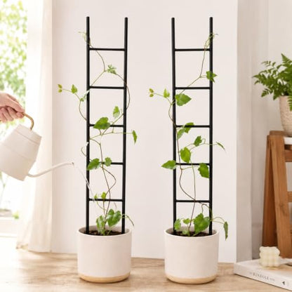 2PCS Indoor Plant Trellis, Sturdy Ladder Trellis for House Plant