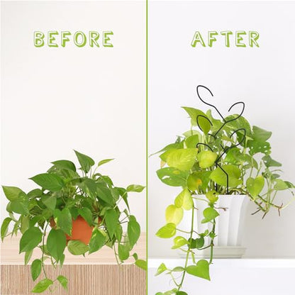 2Pcs Metal Leaf Shape Garden Trellis for Climbing Plant Indoor - color: C