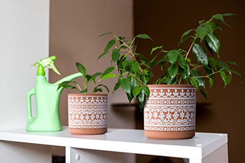 D'vine Dev 2-Pack Terracotta Pots, 4/6 in, Terra/White, 31-958-F-1 - color: Terracotta/White