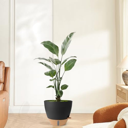 Self Watering Pots for Indoor Plants 12/10/9/8 Inch Plastic with Reservoir - color: Black