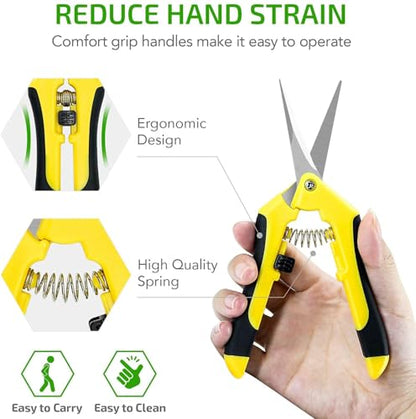 iPower 6.5'' 3 Pack Garden Hand Pruner Shears with Straight Stainless Steel Scissors, for Hydroponic Trimming Herb/Flowers/Vegetables/Plants, Yellow