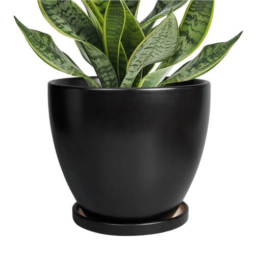 Ceramic Pots for Plants - 6.8 Inch Plant Pot with Drainage Hole and Saucer, Succulent Round Flower Planters for Indoor, Home Decor, Black - color: Matte Black, size: 6 Inch