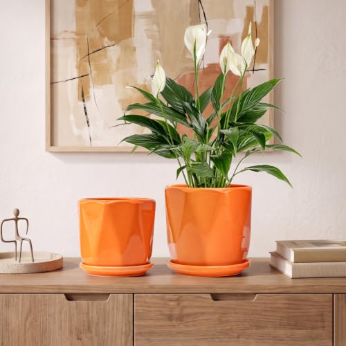 Ceramic Plant Pots Set of 3, Indoor Planter with Drainage Holes and Saucers - color: 2-orange