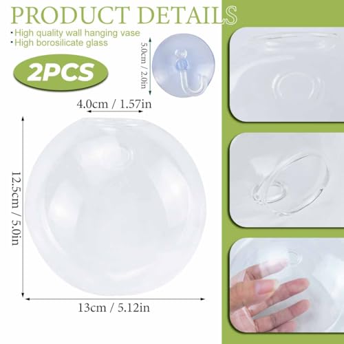 Generic Window Propagation Stations, Oblate Glass Terrariums Planter Suction Cup Vases for Hydroponics Plants, Wall Hanging Vases for Indoor Hydroponics Plants, Home, Living Room Decor