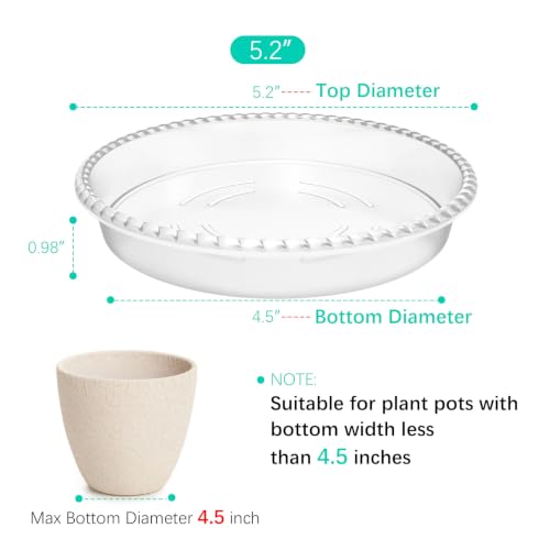 6 Pack Plant Saucer 5 6 8 10 12 inch, Durable Plastic Plant Trays for Indoor, Round Flower Plant Pot Saucer, Sturdy Plant Water Catcher Tray (5.2 inch) - size: 5.2 inch