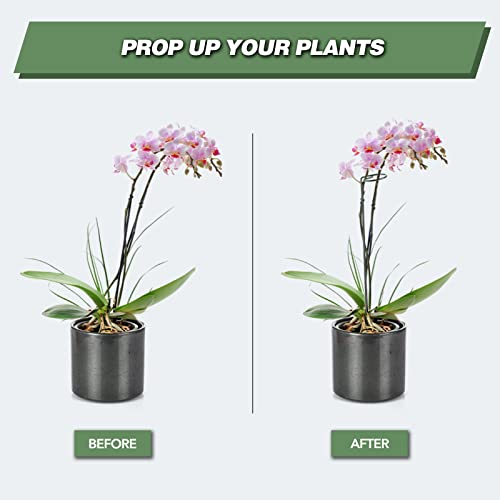 20 Pack 16 Inch Plant Support Stakes for Outdoor Plants and Indoor Flowers - size: 16 inch