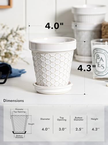 LE TAUCI Ceramic Succulent Pots, 4 Inch Small Plant Pot for Indoor Plant Cactus, Embossed Flower Pots with Drainage Hole & Saucer - Set of 4, Arctic White - size: 4 inch