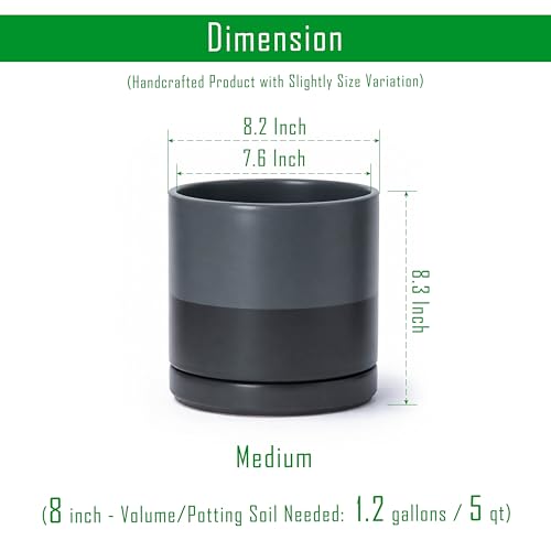 D'vine Dev 8 Inch Ceramic Planter Pot, Slate, 94-O-D-5 - color: Slate, size: Medium