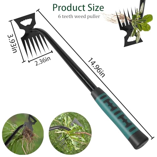Weed Puller Tool,Crack Weeder Tool, Stainless Steel Crevice Weeding Digger Tool, Paving Brick Moss Removal,6 Teethes Dual Purpose Hand Weeder Tool for Yard Garden, Lawn Edger and Driveway(3 Pcs)