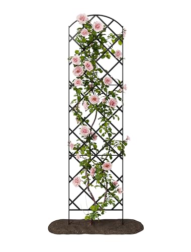 Giant Trellis, 108” high (9’ Tall) by 28” Wide Trellis with Arched top - by Meranti Home + Garden