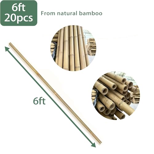 Bamboo Stakes with Jute Twine, 6FT Garden Stakes Multi-Purpose, Plant Stakes for Tomatoes, Beans, Cucumbers, Peppers, Flowers, Potted, Maintain the Plant Posture, Strengthen and Stem