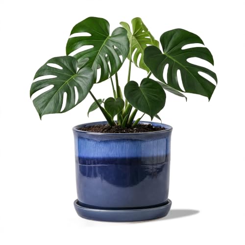 8 Inch Ceramic Plant Pot with Bonded Saucer & Drainage Hole, Large Modern Blue Flower Planter for Indoor Outdoor Houseplants, Monstera, Home Office Decor - color: Blue, size: Medium