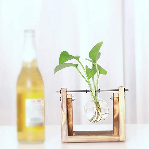 Kingbuy Plant Propagation Station Bulb Vase, 1 Bulb Vase - size: 1 Bulb Vase