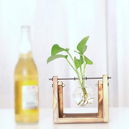 Kingbuy Plant Propagation Station Bulb Vase, 1 Bulb Vase - size: 1 Bulb Vase