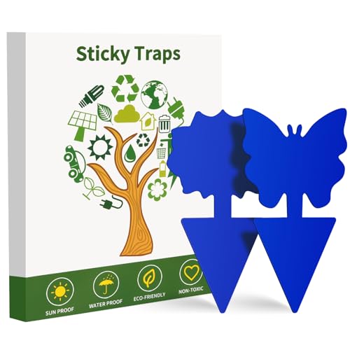 Fruit Fly Traps, 100 Pack Blue Sticky Traps, Fungus Gnat Traps, Plant Fly Stickers for Indoor and Outdoor Use Protect The Plant - color: Blue, size: 100 Pack