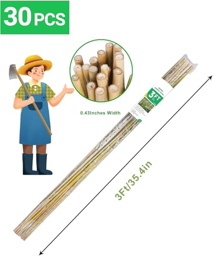 Natural Bamboo Plant Stake, （3FT 30Pcs） Sturdy Bamboo Poles, Durable Plant Bamboo Stake, Garden Climbing Plant Bracket. - size: 3ft-30PCS