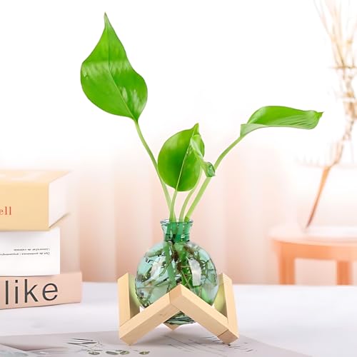 Cute Plant Propagation Station Glass Bulb Water Vases Green Office Decor - color: Green