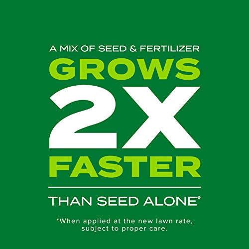 Scotts Turf Builder Rapid Grass Tall Fescue Mix, 5.6 lbs.
