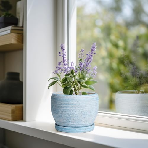 SQOWL Ceramic Planters for Indoor Plants - 6 Inch Plant Pot Indoor Outdoor, Decorative Flower Pot with Drainage Hole and Saucer, Round Succulent Planter, Home Apartment Decor, Garden Gifts, Blue - color: Brushed Blue, size: 6 Inch