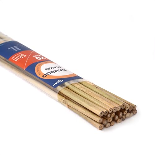COLOtime Bamboo Stakes 58 Inch (Approx 5FT) Garden Stakes Plant Stakes for Outdoor Climbing Plants Poles Sticks Support Tomatoes 20 Pack - size: 58in, 20 Pack