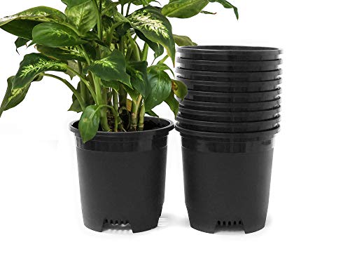 2 Gallon 10-Pack Nursery Pot Black Plastic Planters for Outdoor Indoor Plants Gardening Flower Pots Plant Pots with Drainage Holes - color: Black, size: 10-Pack 2 Gal