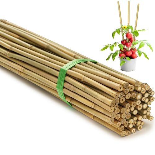 SWANGSA 75 Pack 5Ft (57.5inch) Garden Bamboo Stakes for Plant Support, Garden Poles for Tomatoes, Beans, Flowers, Potted, Indoor and Outdoor Climbing Plants - size: 5 Feet