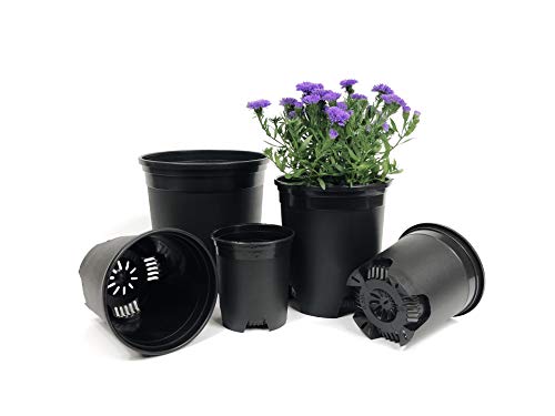 10 Pack Plastic Black Plant Pots Nursery Gardening Planters 4 in to 7.5 Inch Small Medium Plants 0.25 0.35 0.5 1 1.5 Gallon for Indoor and Outdoor Plants - color: Black, size: 10-Pack 0.25-1.5 Gal