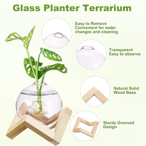 M METERXITY 2 Pack Glass Planter Terrarium with Wooden Stand, Desktop Plant Propagation Station Bulb Vase for Hydroponic Plants Propagation/Home Garden Decor/Plant Lover [Pink] - color: Pink