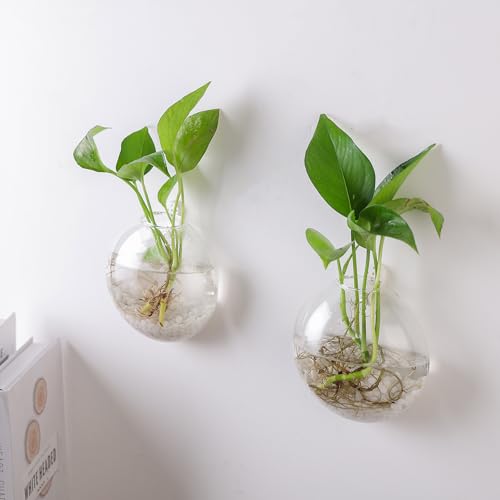 Wall Propagation Planter 6 Pack Glass Wall Planter Oblate Hanging Terrarium