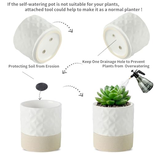 Nihow Self Watering Ceramic Plant Pot, 4.5 Inch, Matte White & Brown Star - color: Matte White & Brown Star, size: 4.5" Self Watering