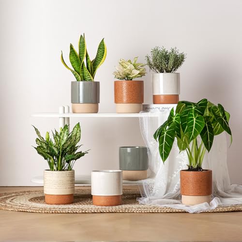 6 Inch Ceramic Self Watering Planter with Drainage Hole, Brush - color: Brush, size: Small