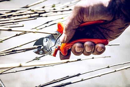 Original LÖWE 5 Professional Anvil Pruning Shears 5.107 with Stainless and Non-Stick Coated Steel Blade - Handy and Lightweight Pruning Shears Ideal for Cutting Apple Trees, Pear Trees & Orchard Work - style: Inward curved handle
