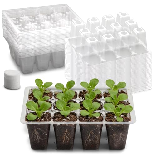 RooTrimmer 60 Pack Reusable 12-Cell Clear Seed Trays with Large Drain Hole - color: Clear, size: 12 Cells-60P