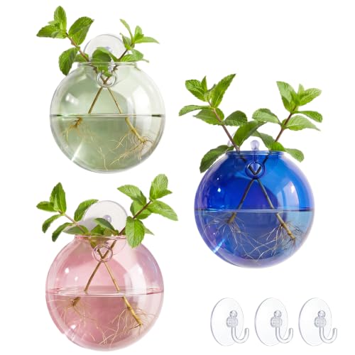 LemonRoad 3 Pcs Propagation Wall Hanging Glass Flower Vase Pink Green Blue Oblate Wall Vases for Flowers Hydroponics Plant Propagation Station Terrariums Glass Planter Gifts for Plant Lovers