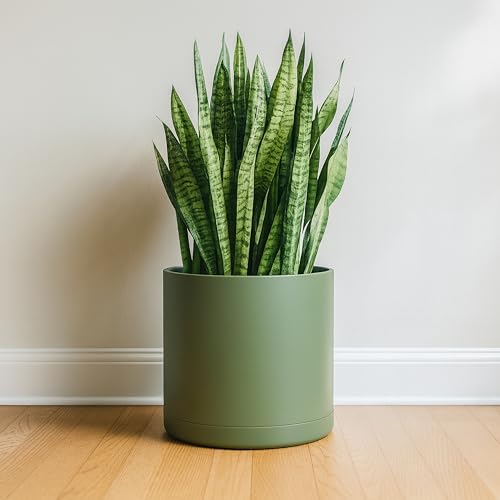 D'vine Dev Plastic Planter Pot with Saucer, 14 in, Olive, 74-X-I-4 - color: Olive, size: 14 Inch