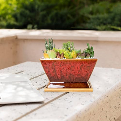 ARTKETTY Succulent Pots - 7 Inch Large Plant Pots with Drainage Tray - color: Red With Tray