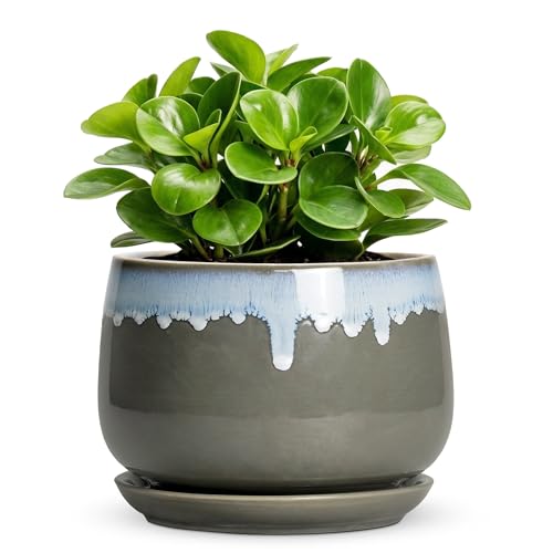 Ceramic Pots for Plants 6 Inch, Indoor Plant Pots, Grey-Blue - size: 6 Inch, style: Grey-blue