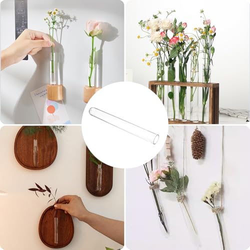 30Pcs 15ml Clear Plastic Test Tubes for Plant Propagation, Hydroponic Flower Vases, Round Bottom Tubes for Science Experiments, Candy Beads Storage, Home Office Wall Decor (5.9", 0.63" Dia)